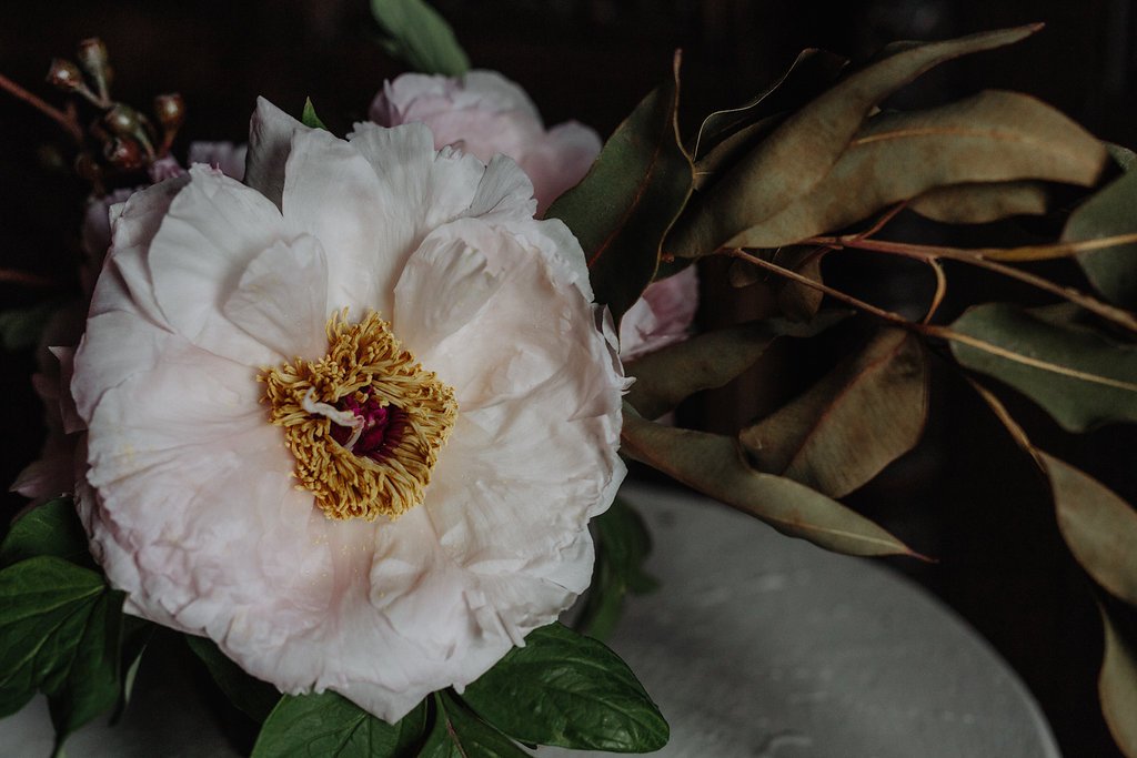 by Nectar and Root, Vermont wedding florist at the Inn at Shelburne Farms in Shelburne, Vermont.